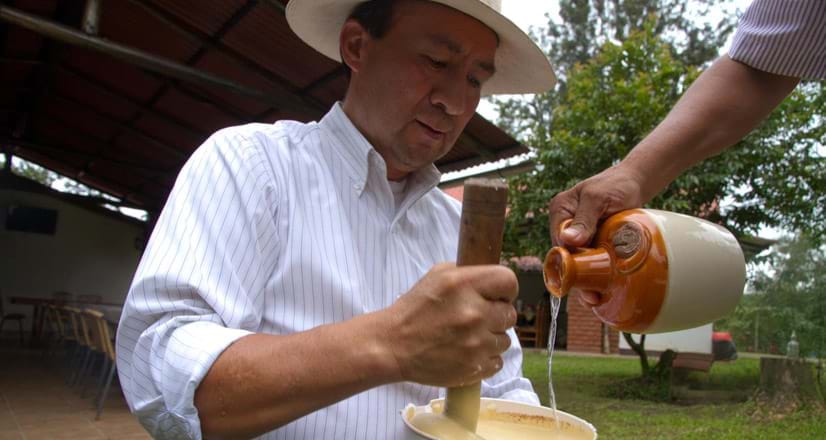 Interior Algarrobina